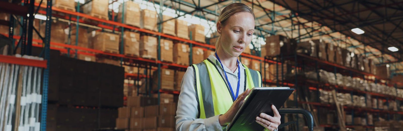 inventory-planning-and-optimization-solutions